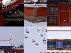 -颐和园