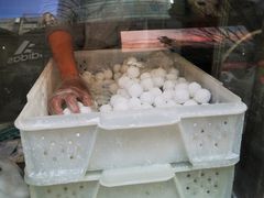 -康乐(滨江道店)