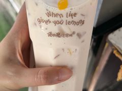 -猫的魔法密林(衣裳街店)