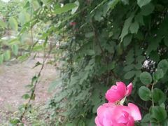 -成都中医药大学(温江校区)