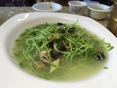 -茂港柏香(侨港路店)
