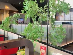 -黑牛の店·黑金店(沈阳万象城店)