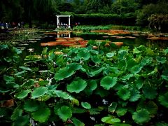 -国家植物园南园