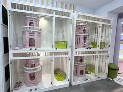 -青奢宠物·青奢猫舍