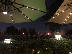 -Sirena海妖日咖夜酒