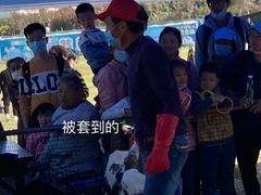 -武汉紫薇都市田园