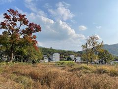 -塔川景区