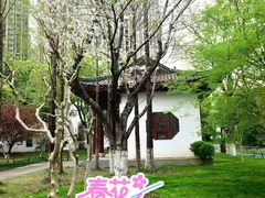 -堤角公园