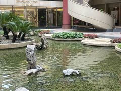 -上海波特曼丽思卡尔顿酒店