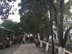 -狐狸家·酸奶酪专门店(平江路店)