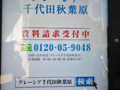 -秋叶原电器街
