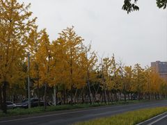 -云锦路(地铁站)