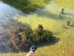 -靖西鹅泉风景区