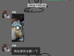 -伟伟宠物医院·CT影像中心·瑞派犬猫综合性门诊(汉口总院)