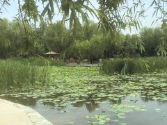 -太阳宫公园