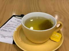 -VEGA VEGA 我行我素