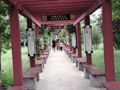 -花园口旅游区