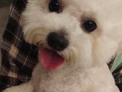 -瑞派康怡24h宠物医院·犬猫医疗中心·微创绝育(瑞景分院)
