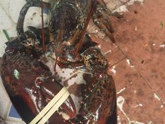 -四姑娘川味海鲜(八爪鱼店)