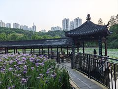 -龙头寺公园