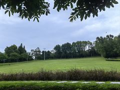 -紫马岭公园