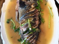 清蒸黑头鱼-鲜小岛·铜锅涮肉