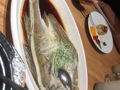 清蒸鲈鱼-觅唐MITONG(鸟巢店)