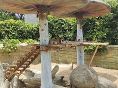 -泉州海丝野生动物世界