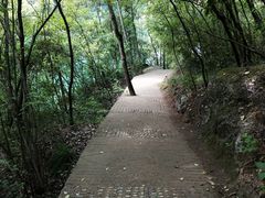 -郧西五龙河风景区