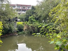 -杭州西溪喜来登度假大酒店