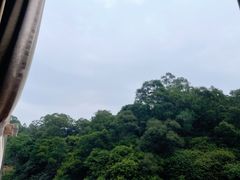 窗边座位风景-区海鸡场饭店(石壁店)