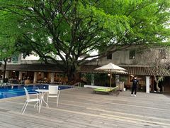 -喜洲吧·江畔老船厂·庭院餐厅(喜临院店)