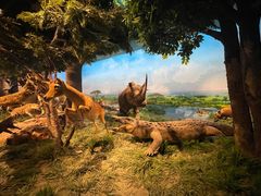 -国家自然博物馆