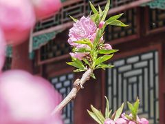-颐和园