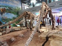-自贡恐龙博物馆