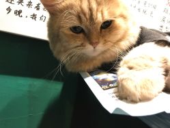 -Kraemer Paris  苏豪路易士·嘉玛发廊
