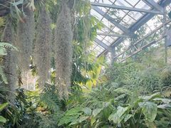 -国家植物园南园