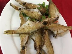 -蛇口康乐快餐鱼仔档(翠苑小区店)