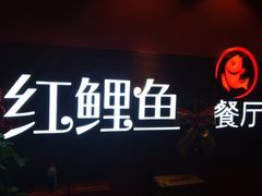 门面-金陵红鲤鱼餐厅(孝陵卫紫金山店)