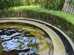 -大连金石滩绿发温泉假日酒店