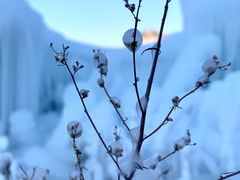 -大平台龙居瀑布旅游区
