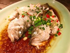 -新白鹿餐厅(嘉兴八佰伴华府店)