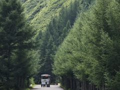 -苏木山森林公园