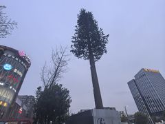-别院里音乐餐酒吧(双流航空港店)