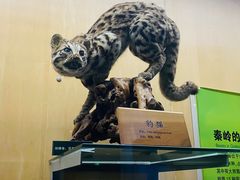 -陕西自然博物馆