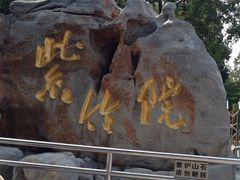 -紫竹院公园冰场
