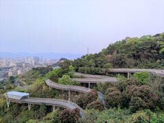 -福道