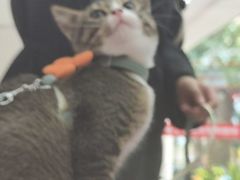 -御宝贝24h宠物医院·转诊中心·CT核磁血透中心(厦门总院)
