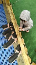 -萌宠亲子动物乐园(槐房万达店)