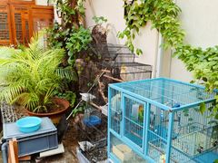 -丽江庭院之爱在路上(西单店)